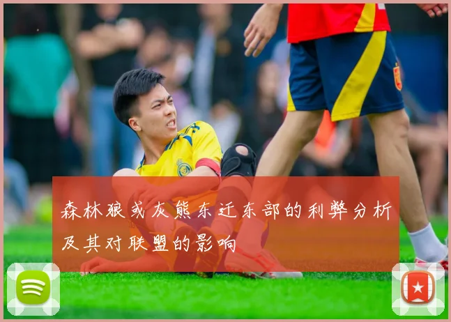 森林狼或灰熊东迁东部的利弊分析及其对联盟的影响