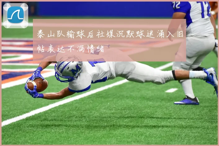 泰山队输球后社媒沉默球迷涌入旧帖表达不满情绪