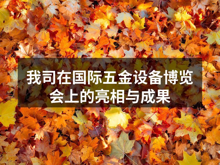 公司展位人流如织